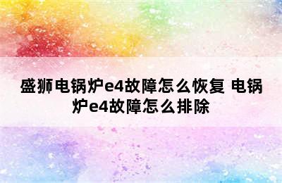 盛狮电锅炉e4故障怎么恢复 电锅炉e4故障怎么排除